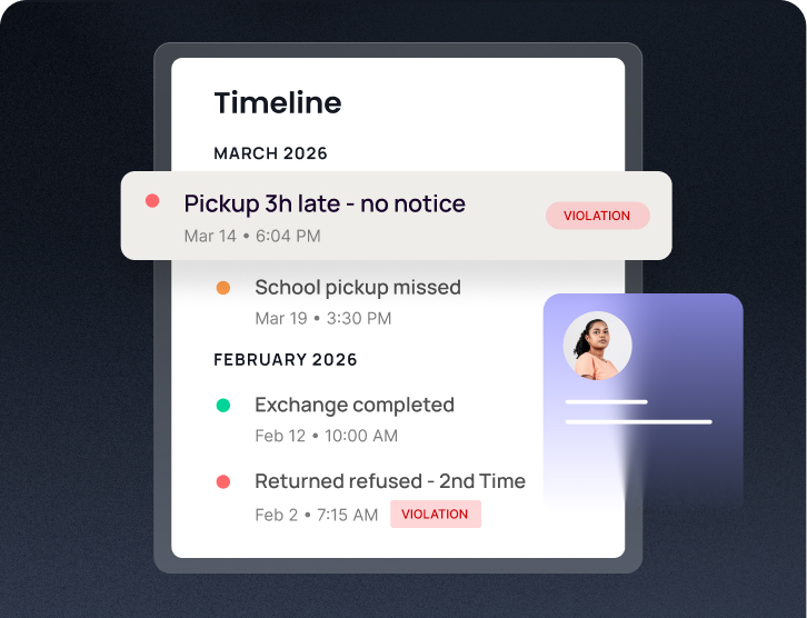 Timeline showing custody violations and events organized by month